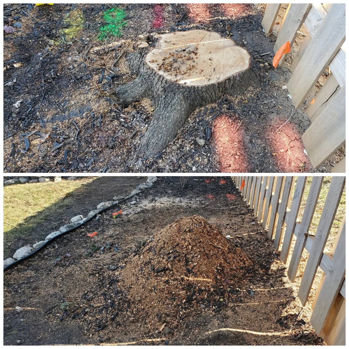 Before and after: a stump beside porch railings, followed by the same area after grinding