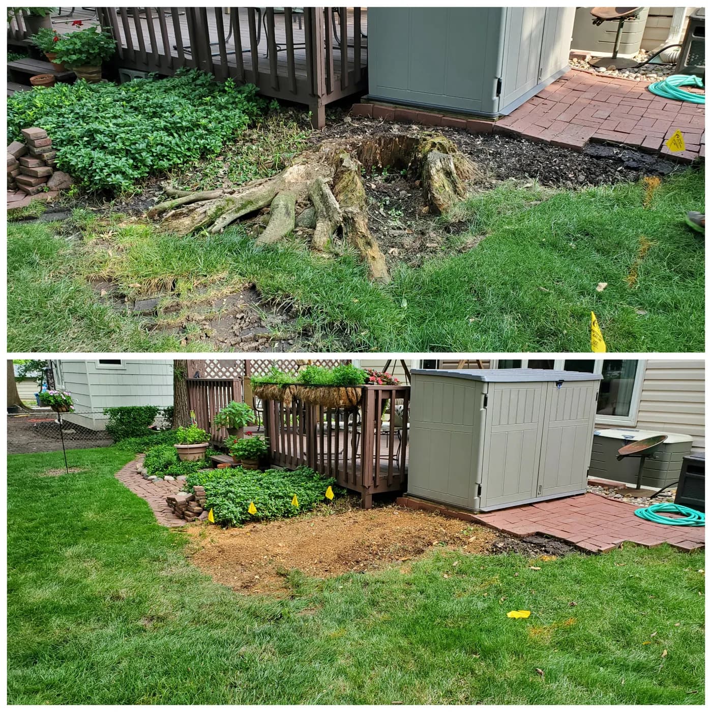 Before and after: a backyard stump and spreading roots, followed by the area after grinding