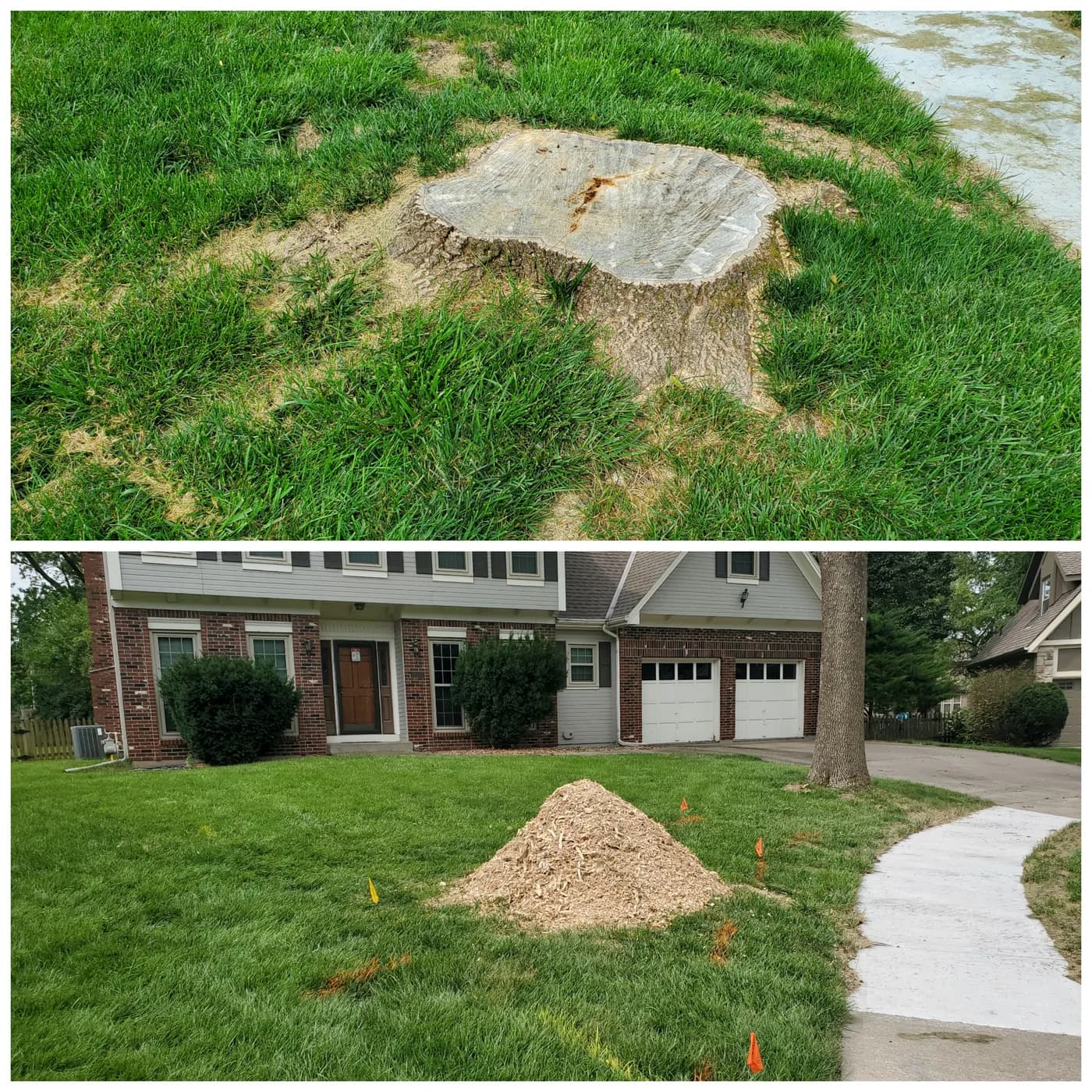A lawn stump before grinding and the neat pile of grindings left afterward