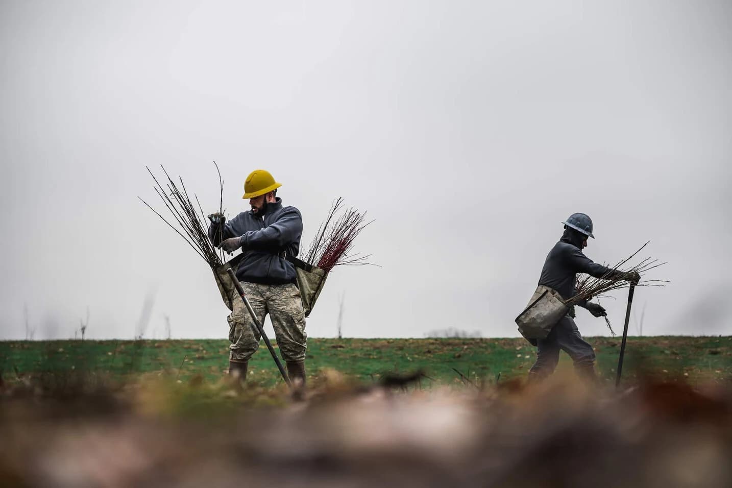 Two tree planters carrying young trees at a reforestation site