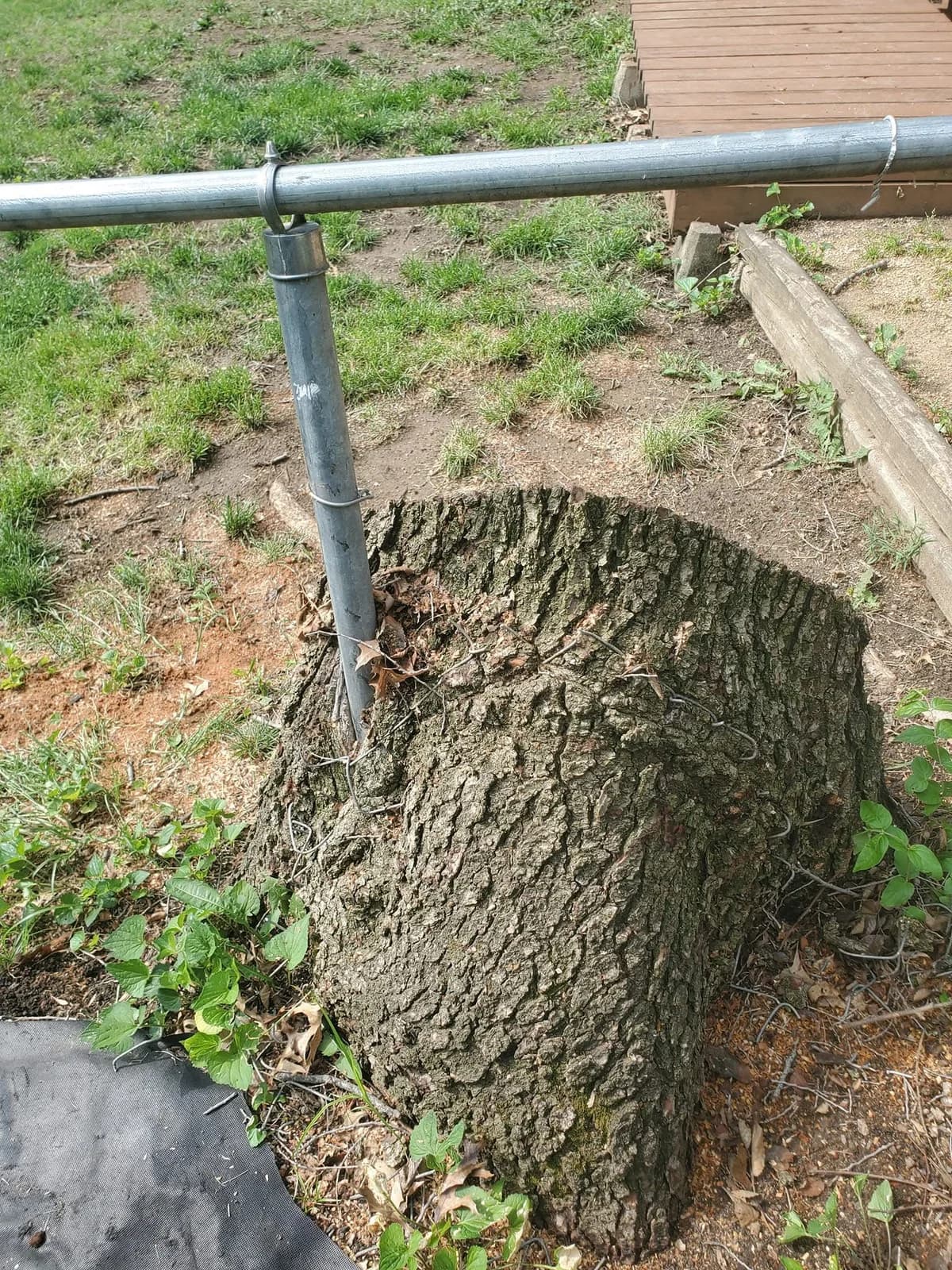 A metal fence post embedded in a broad stump beside a wooden deck