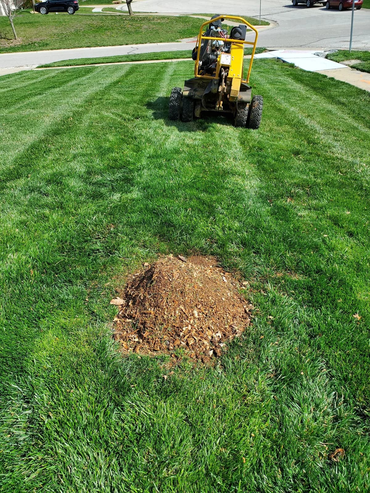A neat pile of grindings in a mowed lawn, with Heartland’s grinder in the background