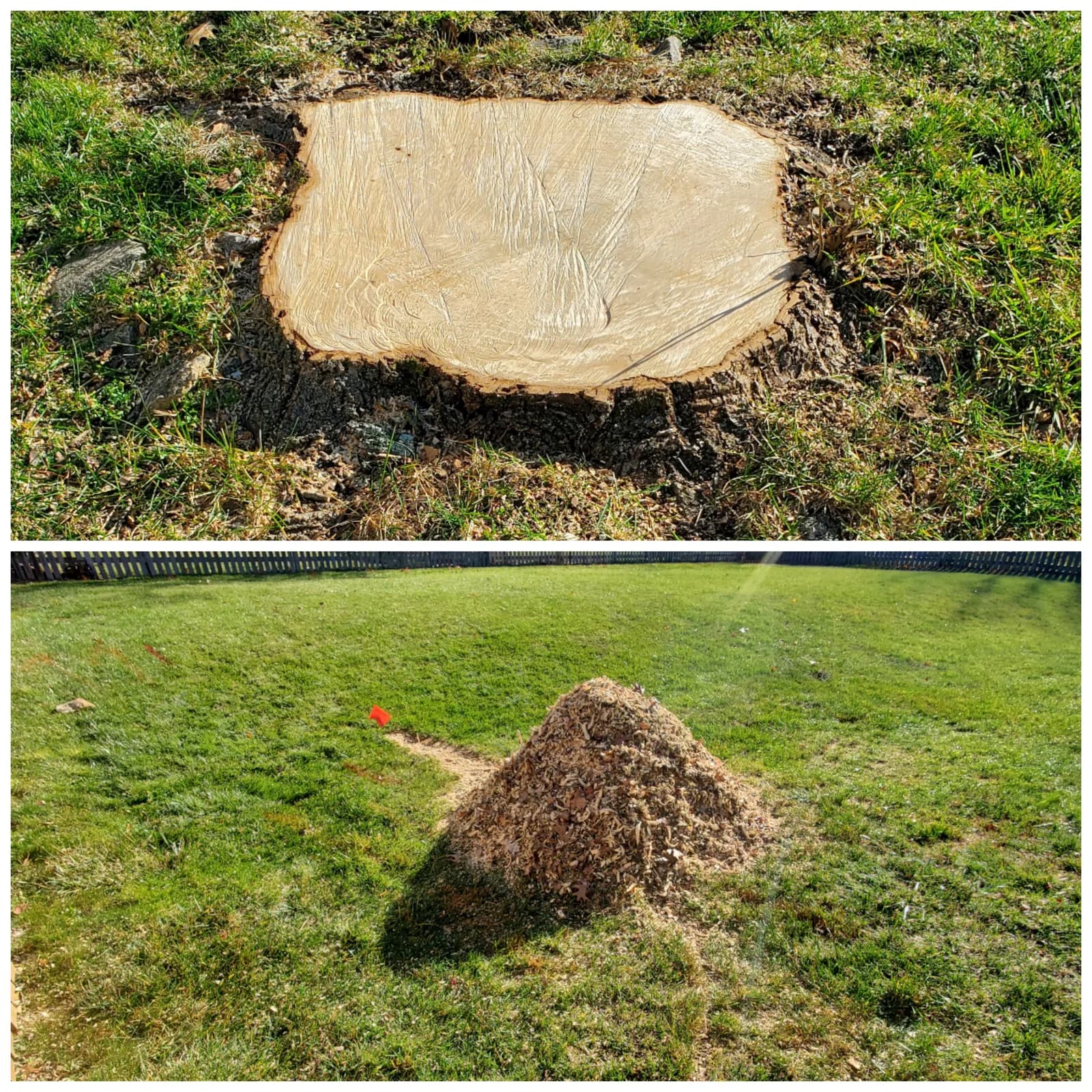 Before and after: a freshly cut lawn stump, followed by a neat pile of wood chips and soil