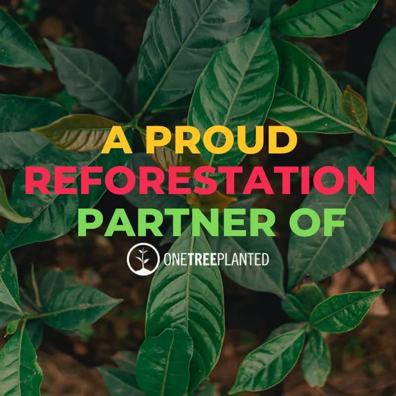 A proud reforestation partner of One Tree Planted, written over green leaves