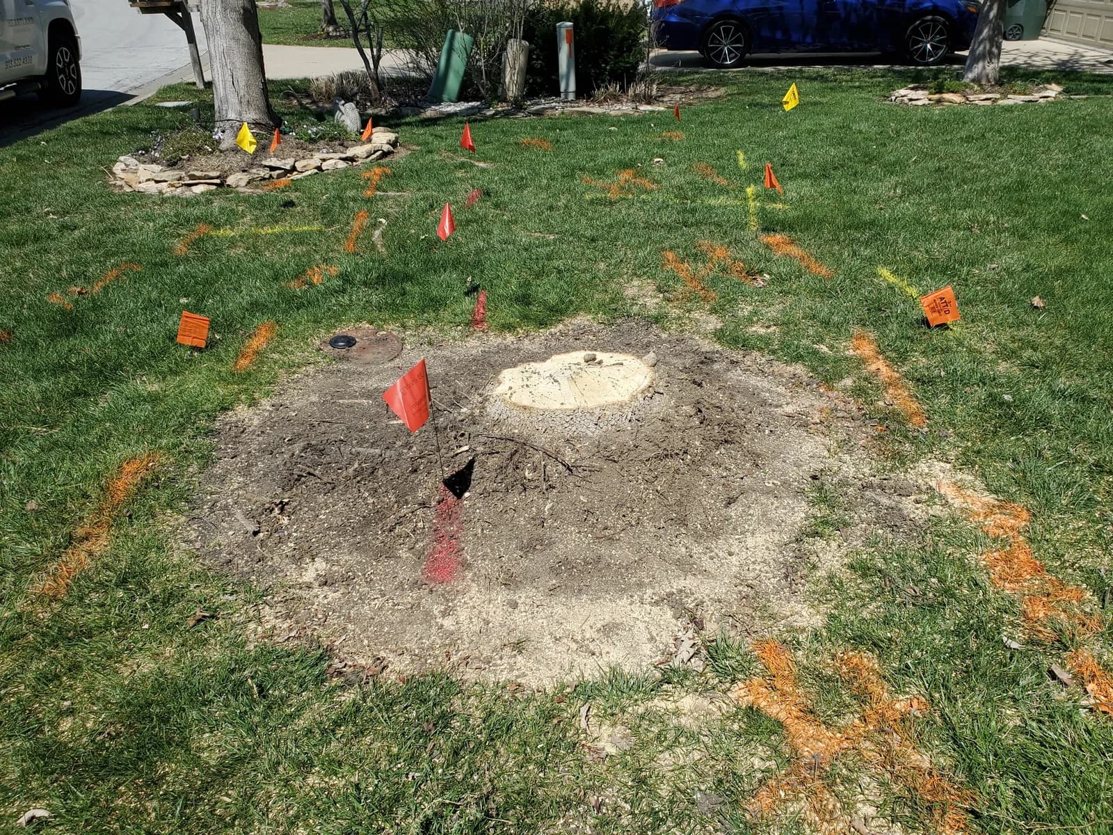 A lawn stump surrounded by colored utility flags and ground markings