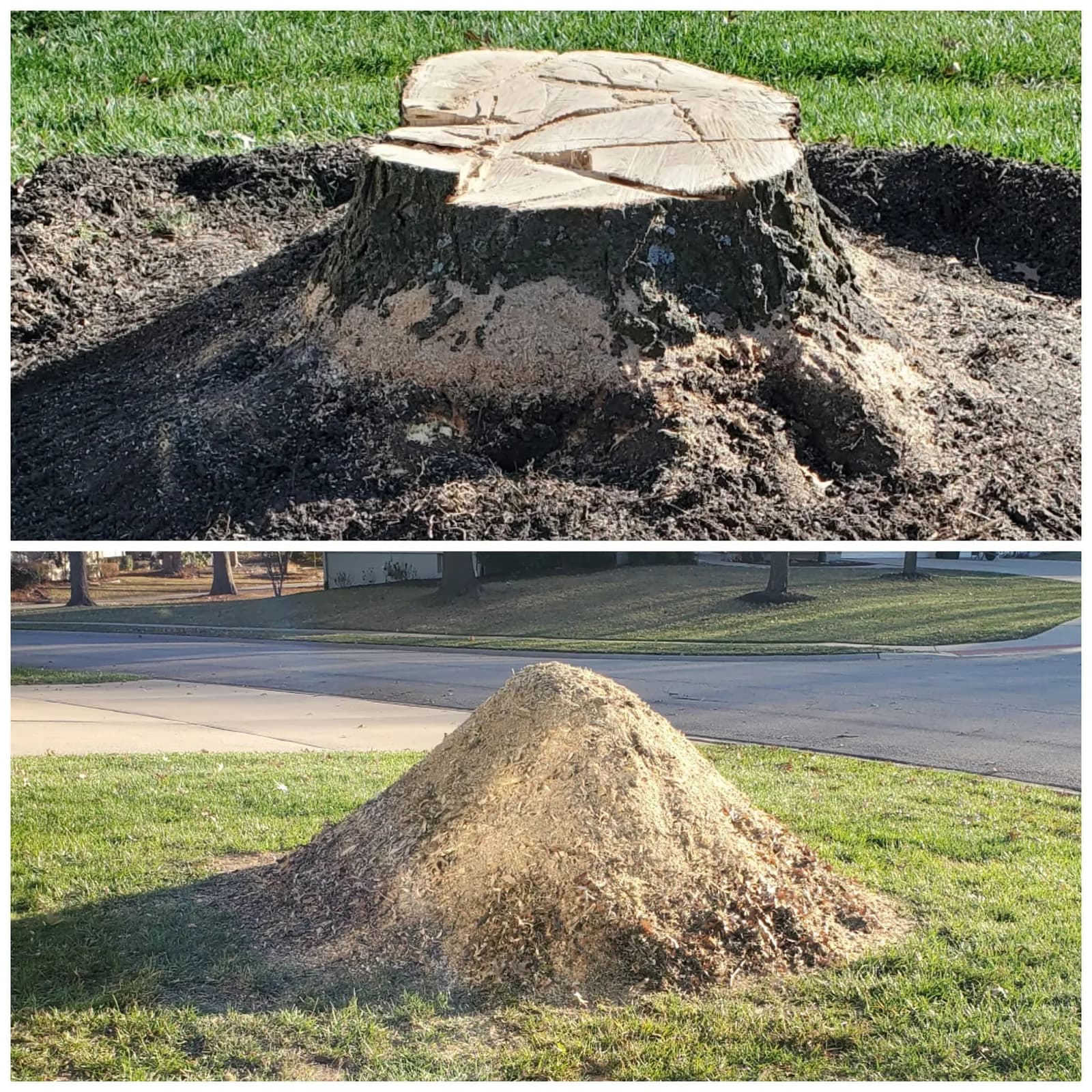Before and after: a broad lawn stump with spreading roots, followed by the ground area and a pile of grindings
