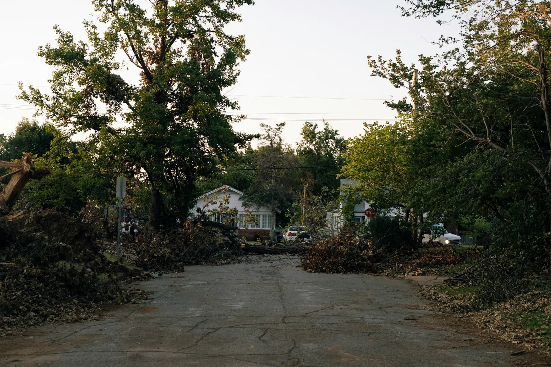 Fallen trees and branches across a residential street after a storm