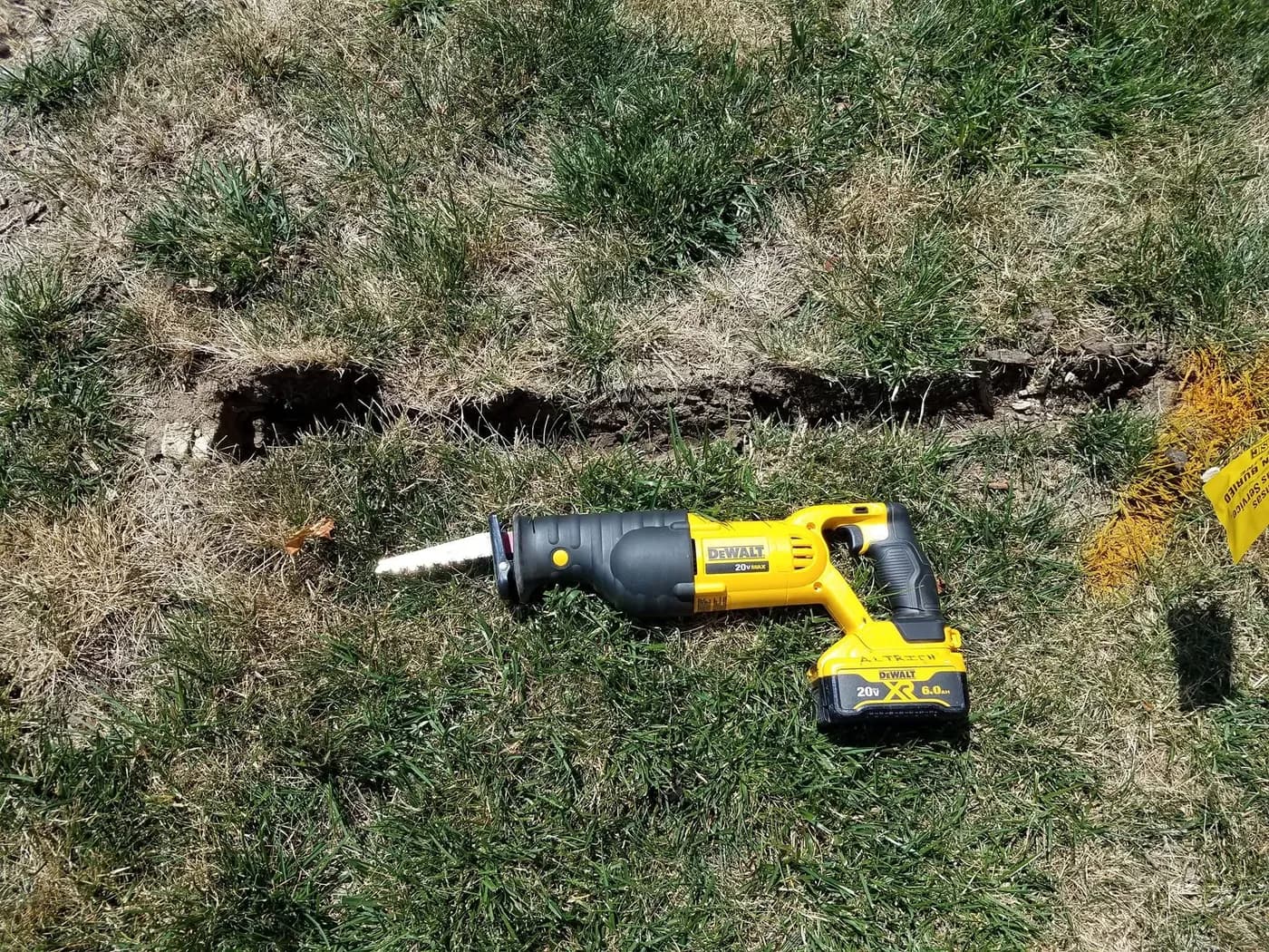 An exposed surface root and a saw beside an opening in a lawn