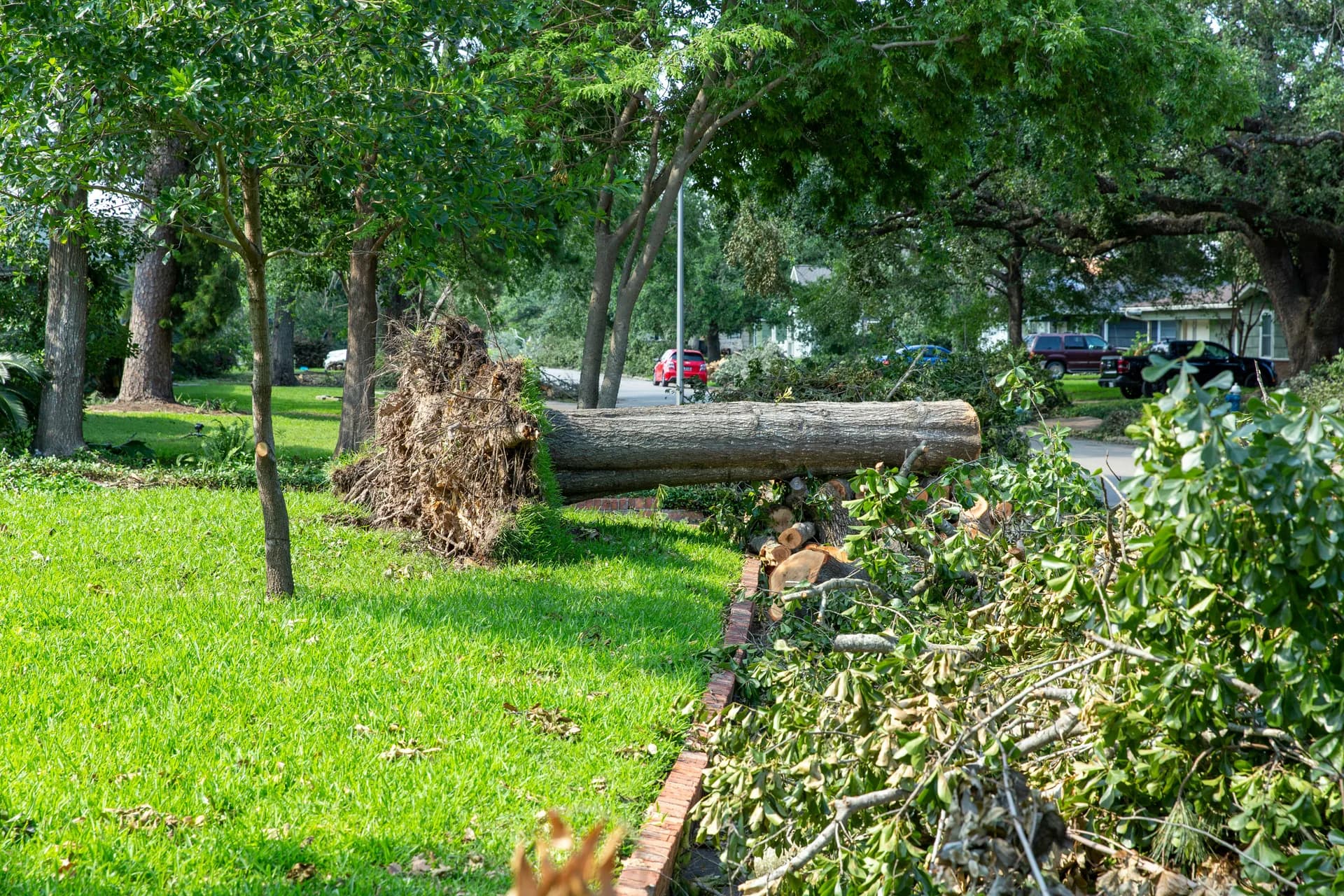 An uprooted tree trunk and cut branches in a residential front yard